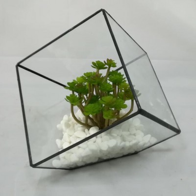 High Quality Indoor Plant Metal Frame Geometric Glass Terrarium