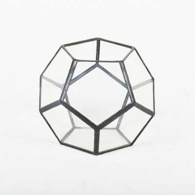 Geometric metal frame glass terrariums tabletop box planter garden pot decoration ideas